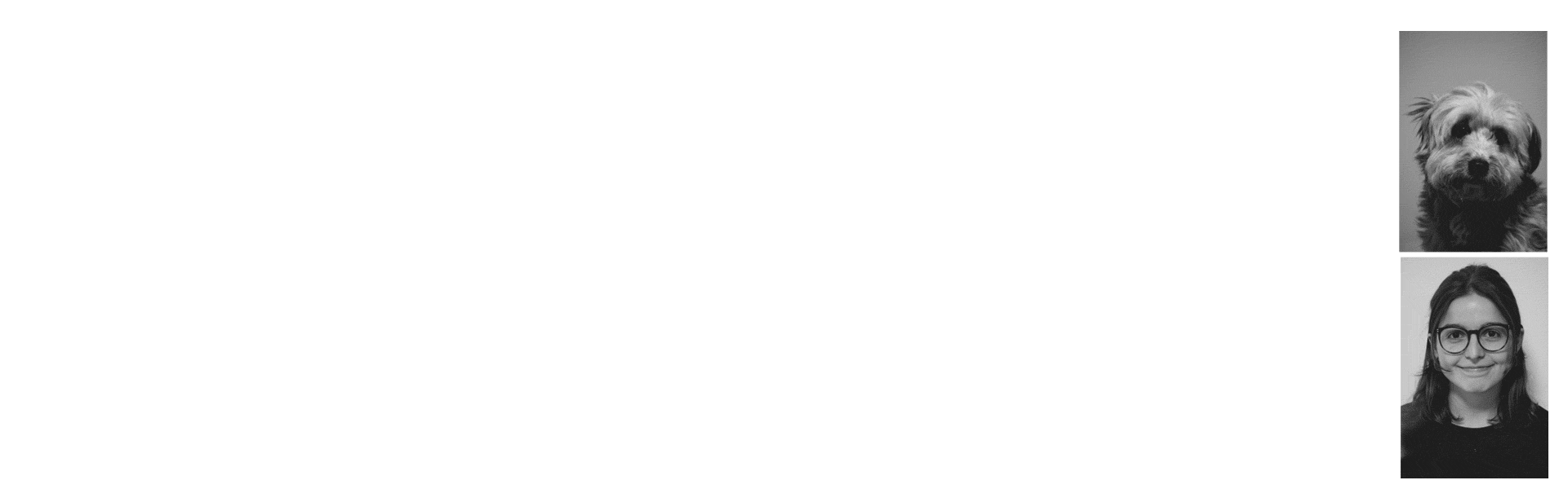 gif-bia-beetho