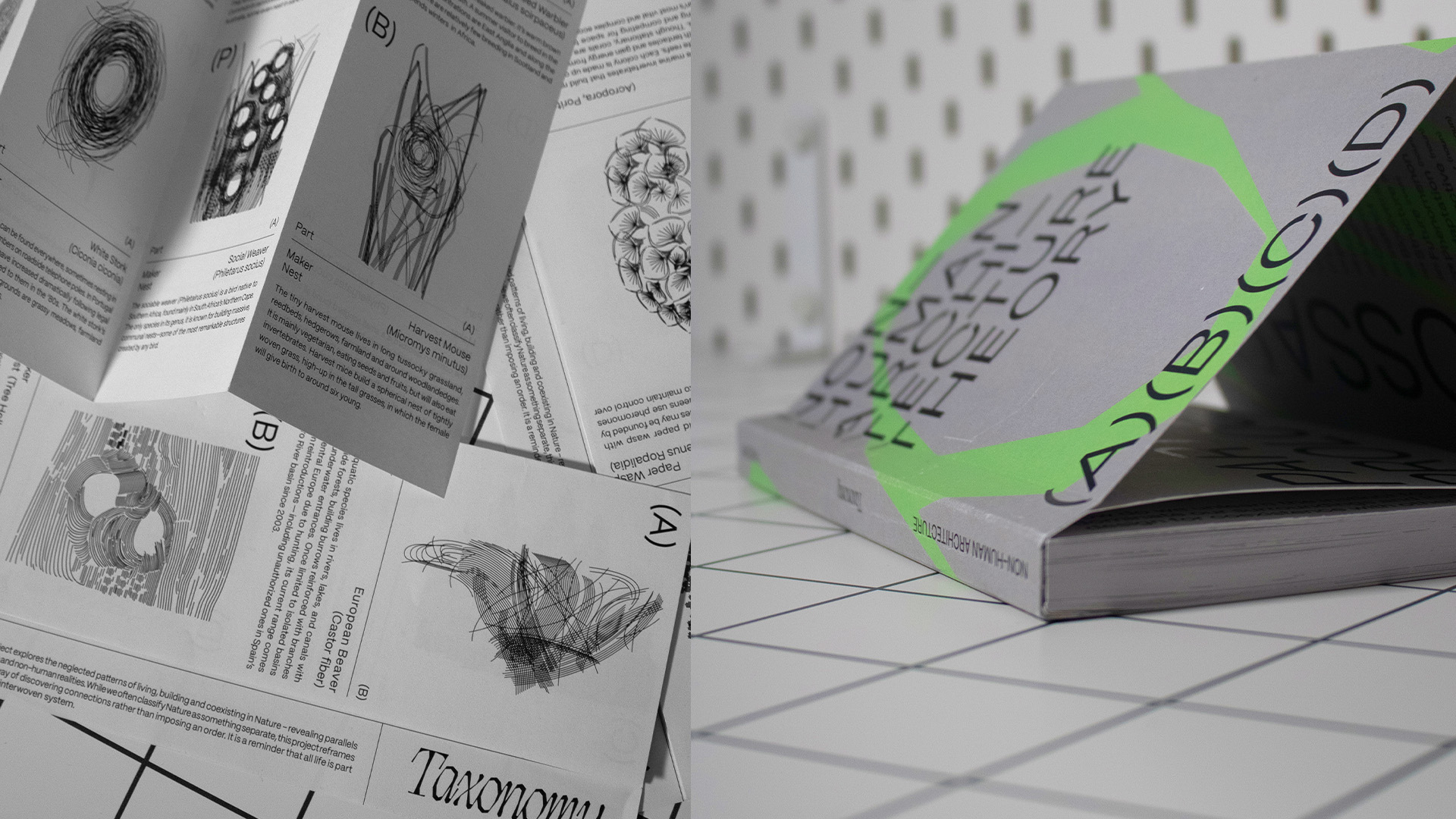 paradox of distractions box closer detail every graphic material inside of the box